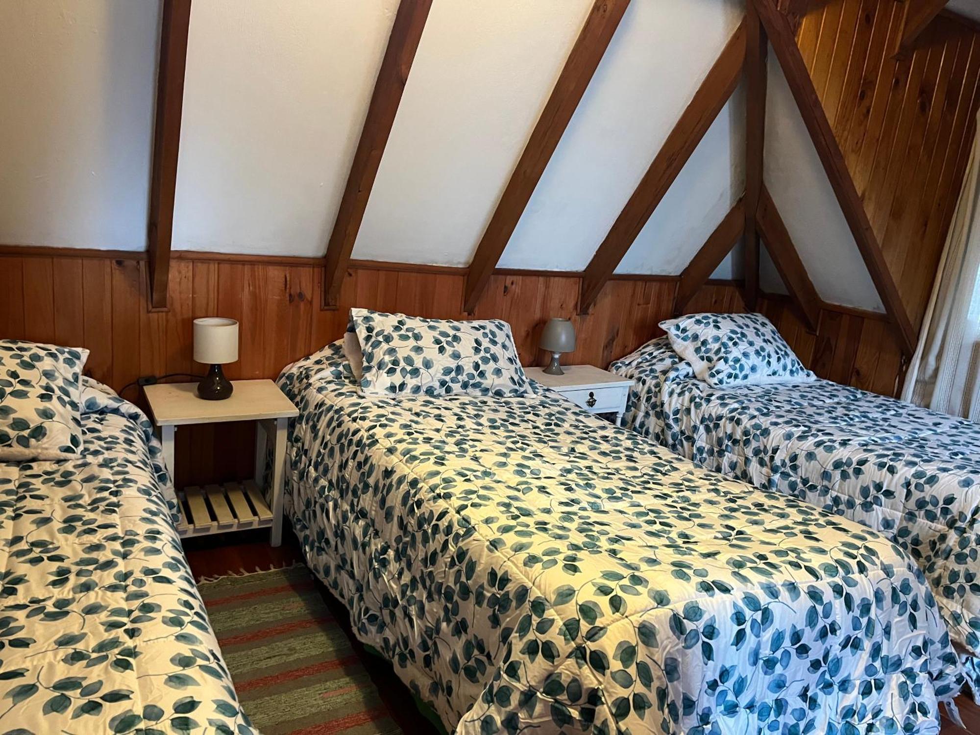 Cabana Ruca Quimey Villarrica Exteriör bild